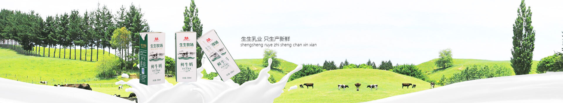 洛陽訂奶_酸奶代理_酸奶招商_牛奶品牌-生生乳業
