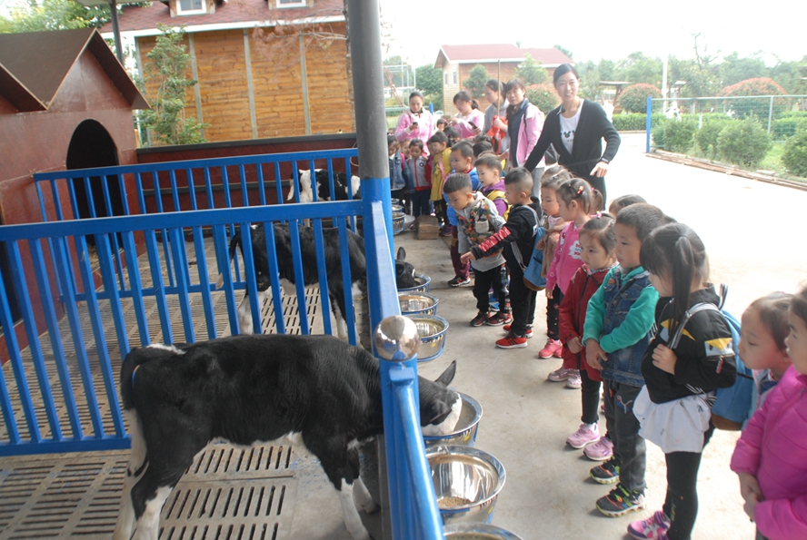 1508221888339656.jpg 23.JPG